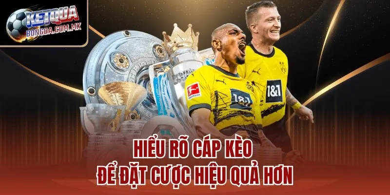 Hiểu rõ cáp kèo để đặt cược hiệu quả hơn